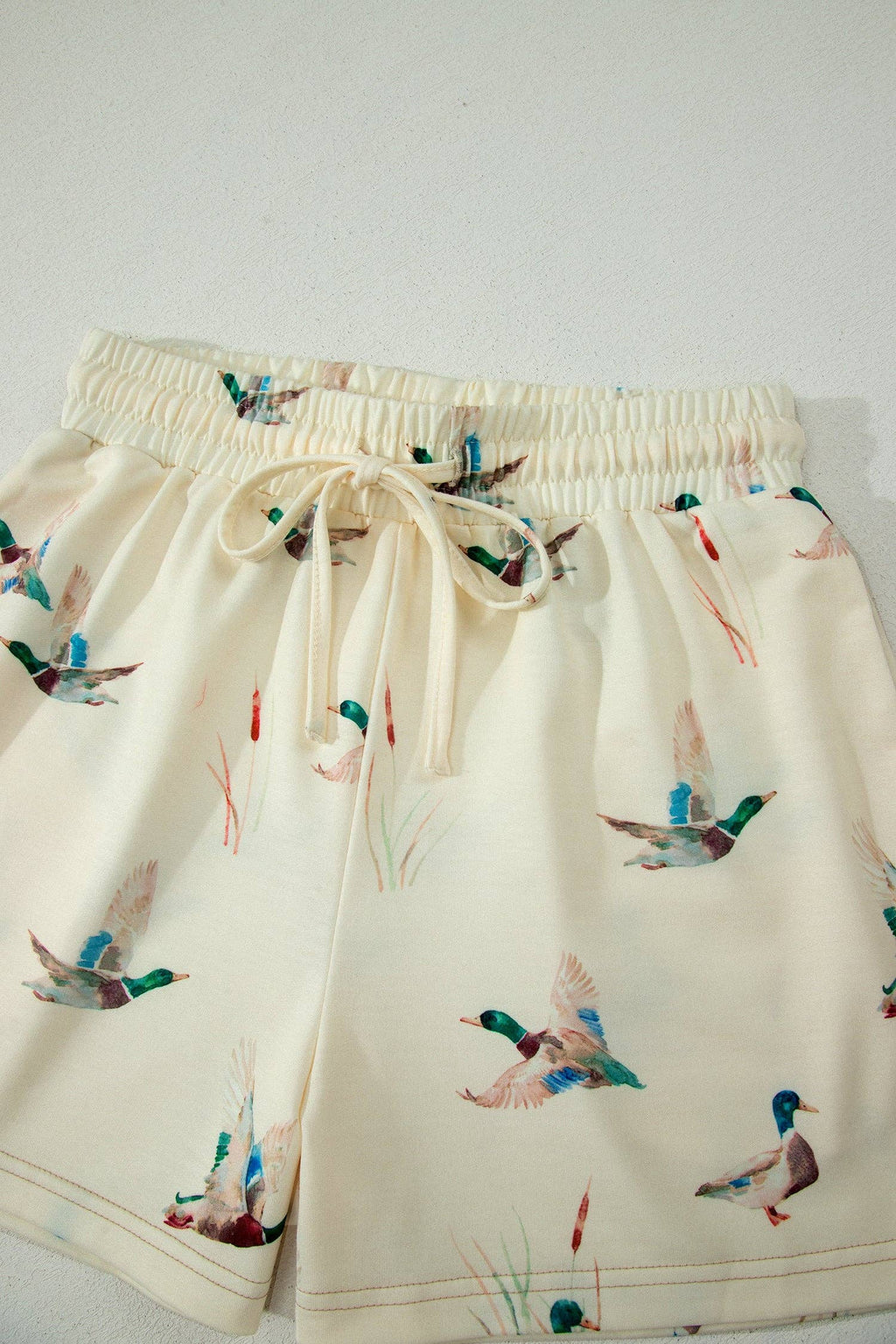 WILD WEST WATERFOWL SET